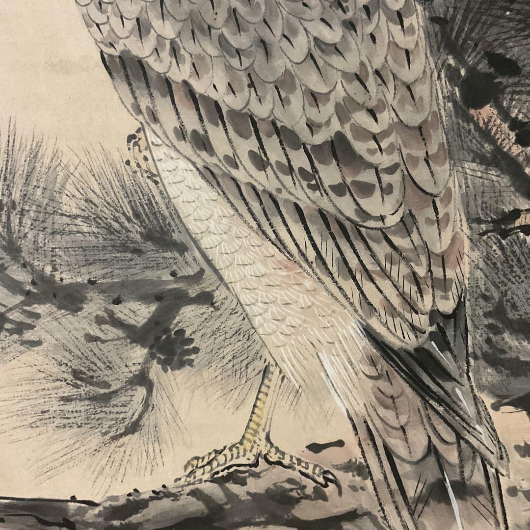 松上鷹図 紙本淡彩水墨画 落款印譜在（生峰）紙表装 軸先 紫檀