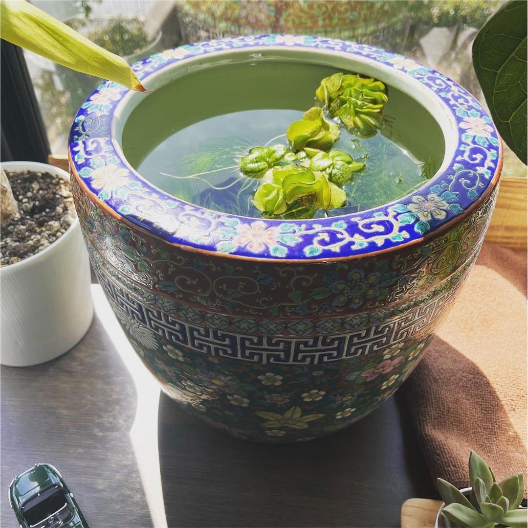 火鉢特大手あぶり火鉢伊万里有田瀬戸植木鉢メダカ鉢骨董