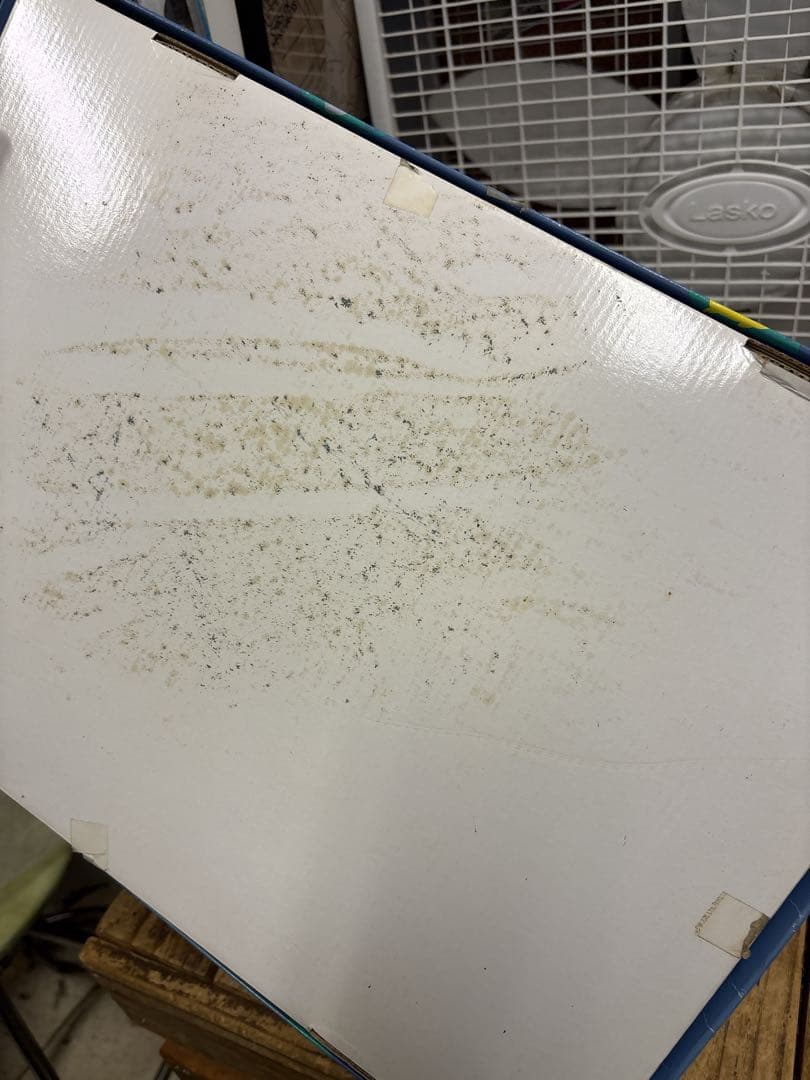 トミー(TOMY) ポケモンぬいぐるみギフトボックス　限定