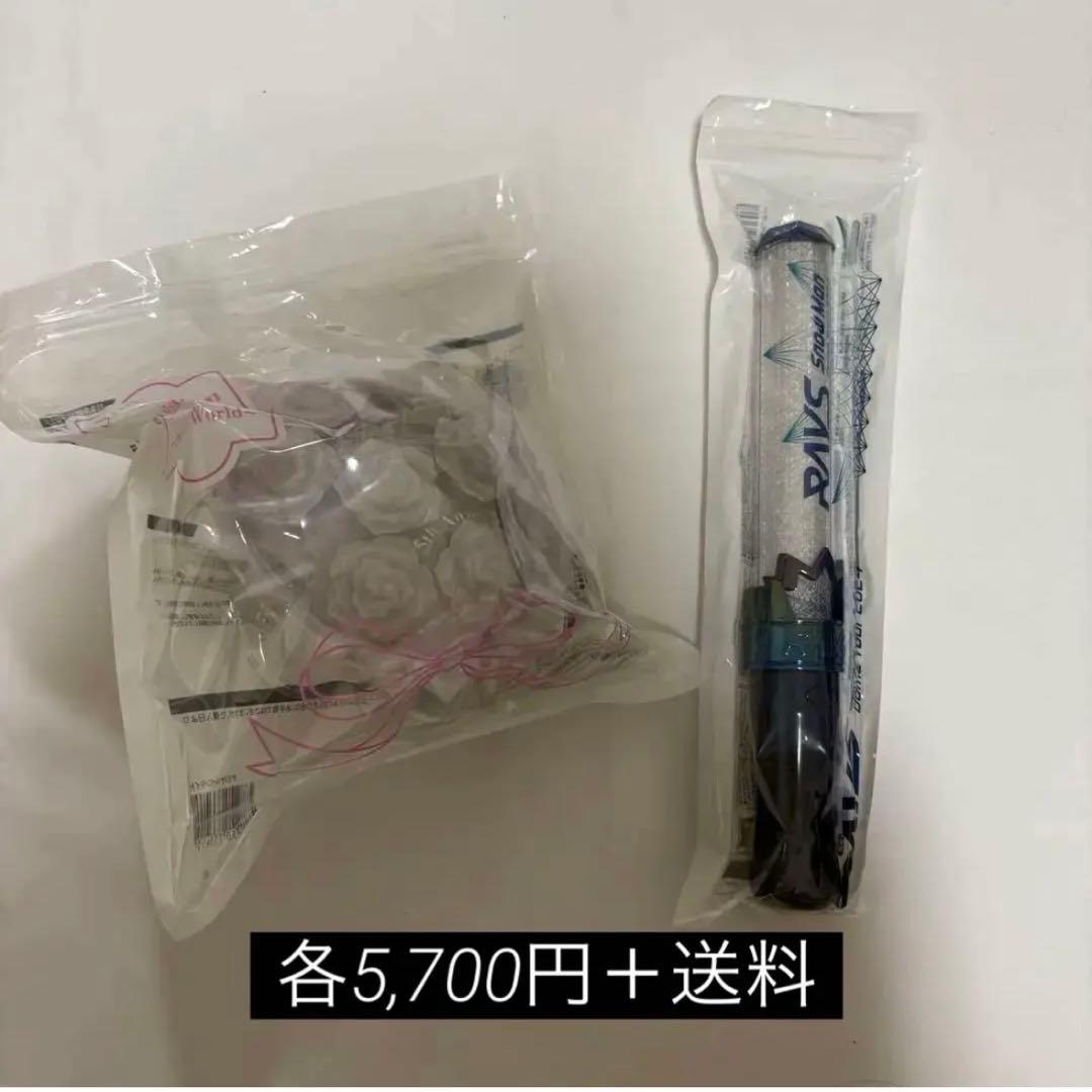 宮舘涼太(RAYS、 World) 説明欄必読