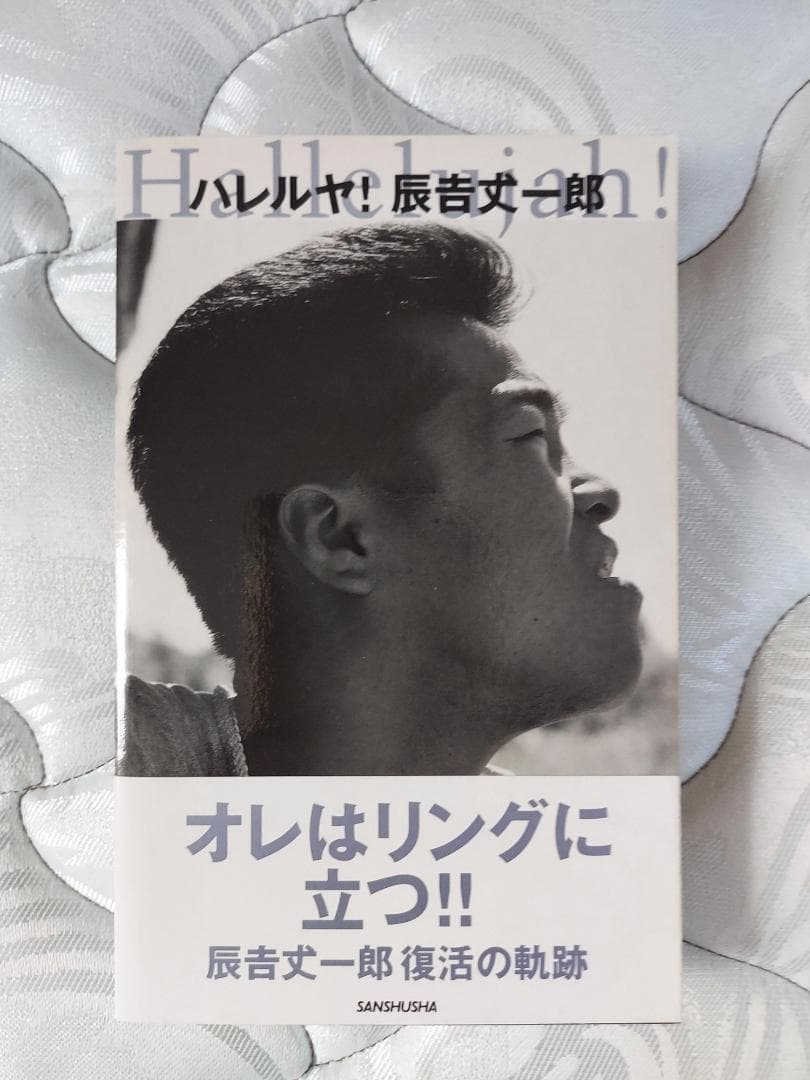 ボクシング 辰吉丈一郎 サイン入りマスコットグローブ オはマケ有