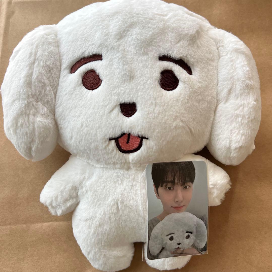 StrayKids フィリックス ポガリ アイエン フォクシニー ぬいぐるみ