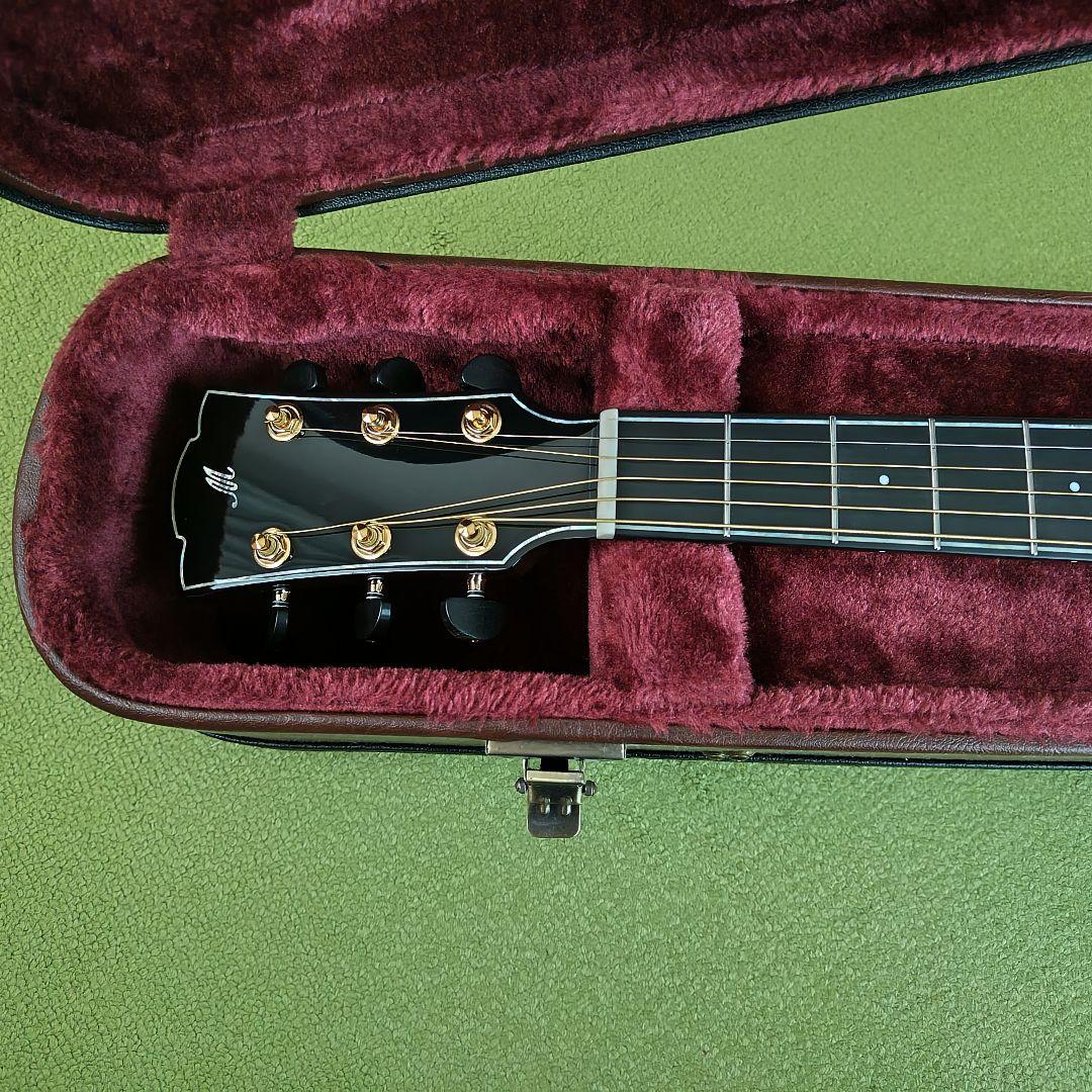 アコースティックギター Merida ギター / WAVE 純正ハードケース
