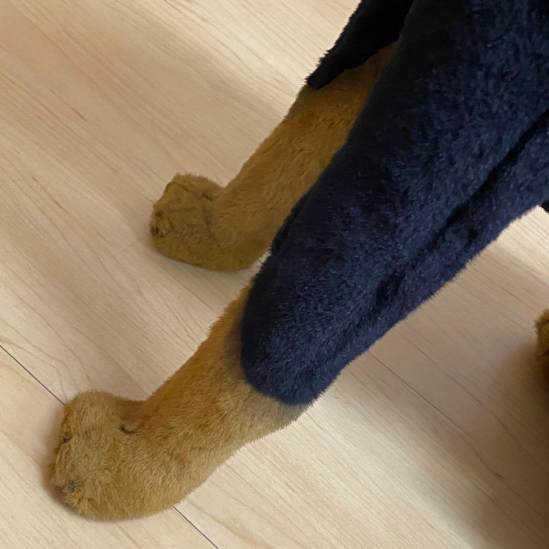 ジョックライン イタリア製 特大 ドーベルマン 座り ビッグサイズ no.10