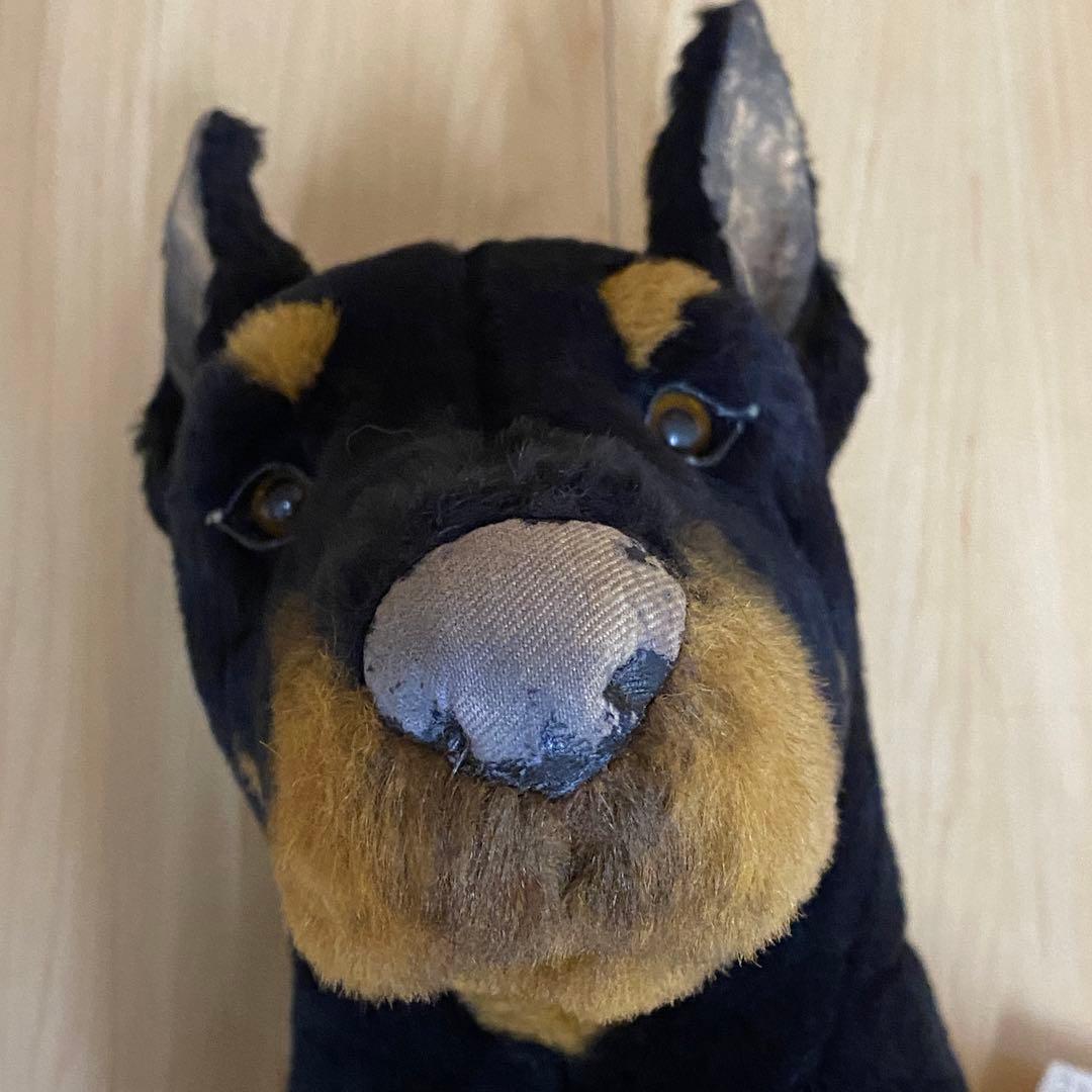 ジョックライン イタリア製 特大 ドーベルマン 座り ビッグサイズ no.10