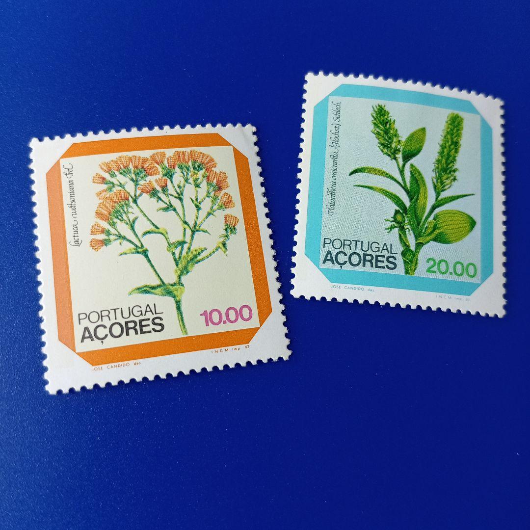 3348 外国切手 ドイツ 1991年 花 シリーズ 5種完 3348 外国切手 ドイツ