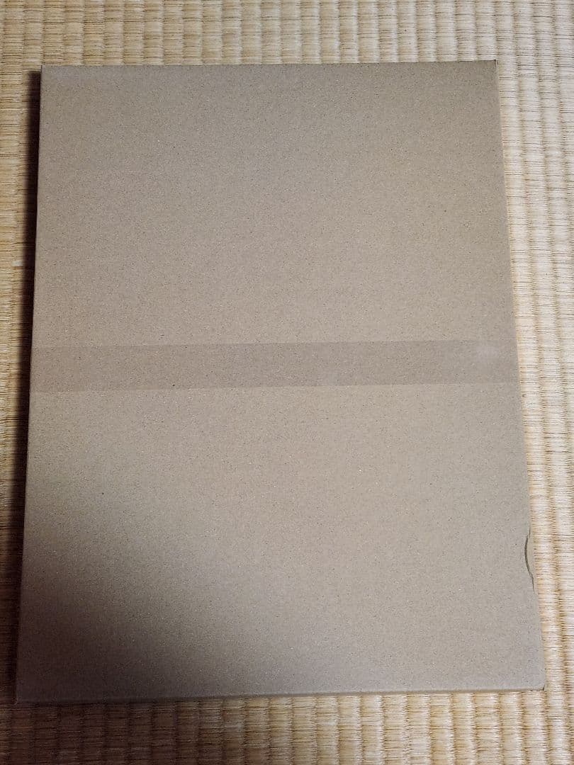 勝利の女神 NIKKE ニケ 複製原画 あみあみ 限定 (ロングスカート)