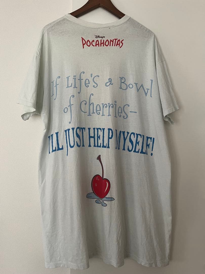 90s Disneyディズニー ポカホンタス パーシー 刺繍 コットン ポケットT