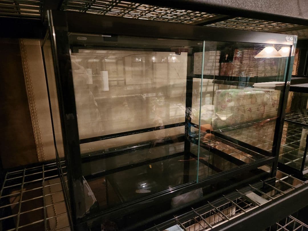 こぬ送料込みパンテオン6045中古1台、マイクロuvb LED1台 こぬ送料込みパンテオン6045中古1台、マイクロuvb LED1台 こぬ送料込み