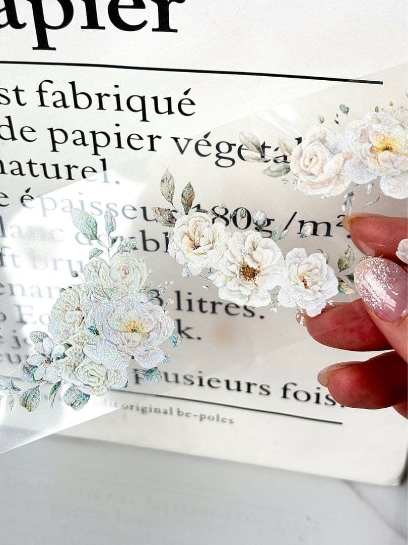 ggaggong 海外マスキングテープ マステ 【2481】