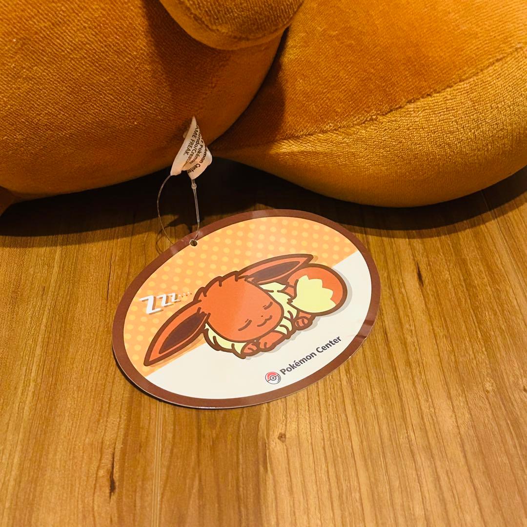 ポケモンセンター　すやすやイーブイ　ぬいぐるみ　2017 新品タグ付き