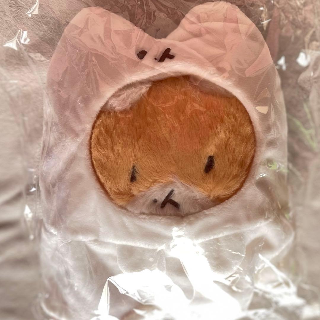 おまとめ確認用