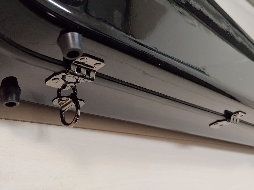 Eastman バイオリンケース ブラック