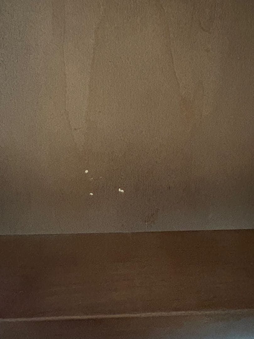 unico(ウニコ) TRITO(トリト) エクステンションテーブル