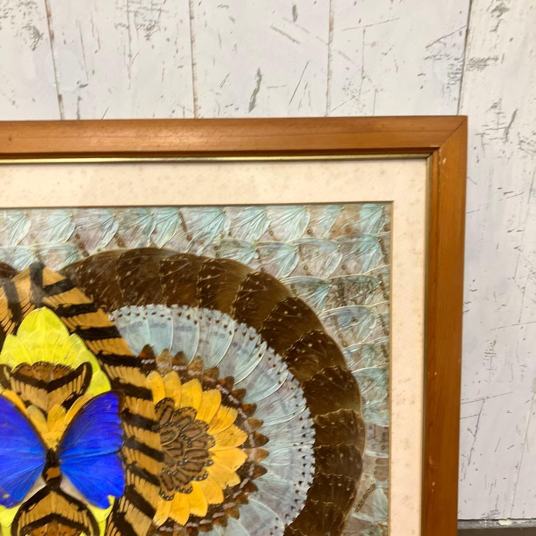 昭和レトロ 蝶 羽細工 標本 アートパネル 絵画 額装 額入り 伝統工芸 絵画