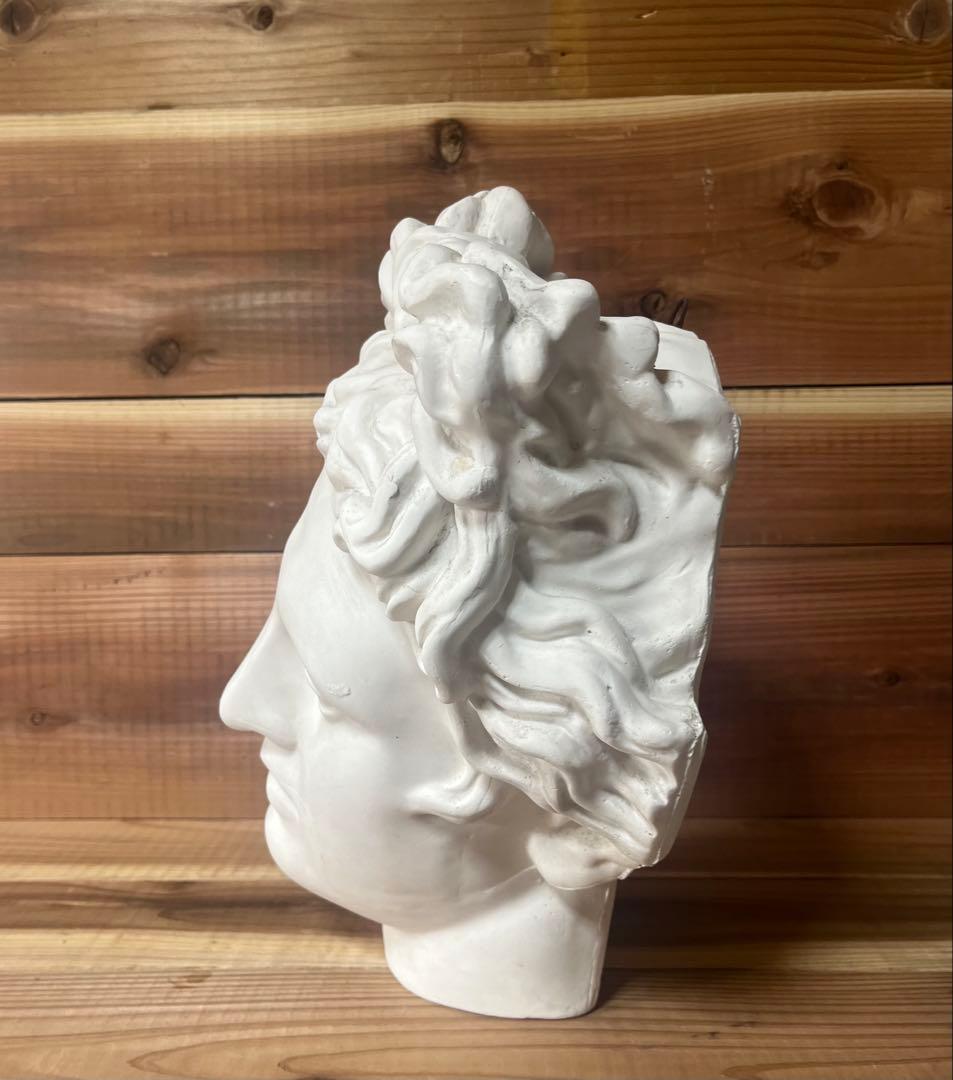 石膏像 アポロ 半面 アポロン 美術 デッサン ギリシャ神話