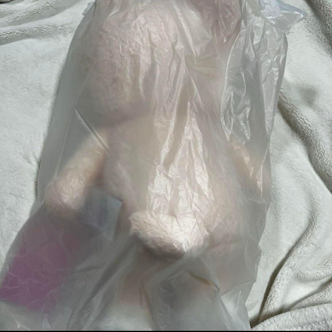 Stray Kids SKZOO テディベア FoxI.Ny