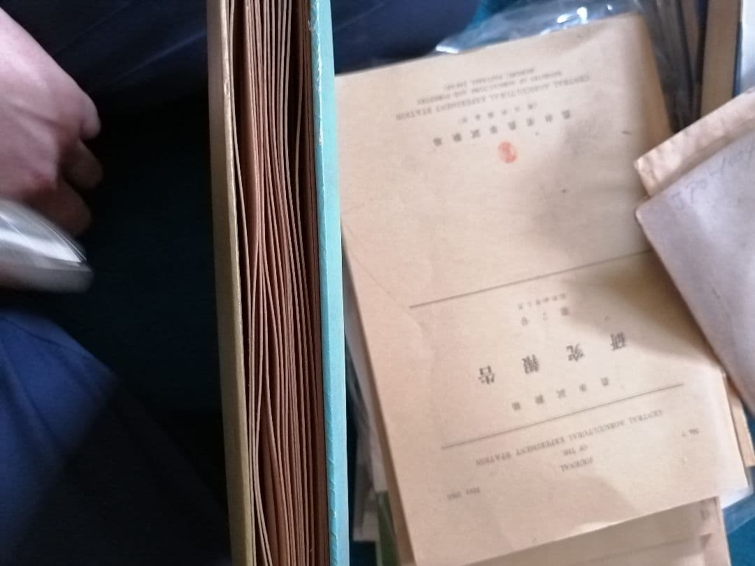 W 金閣寺の写真アルバム 昭和レトロ写真 モノクロ 京都 奈良 風景 寺院