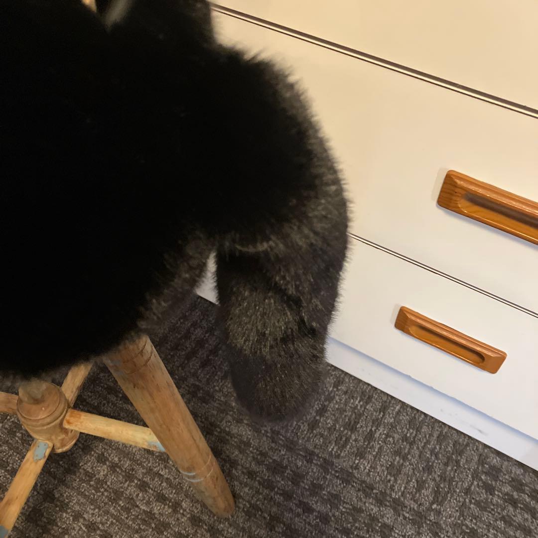 後藤専用❁⃘*.゜