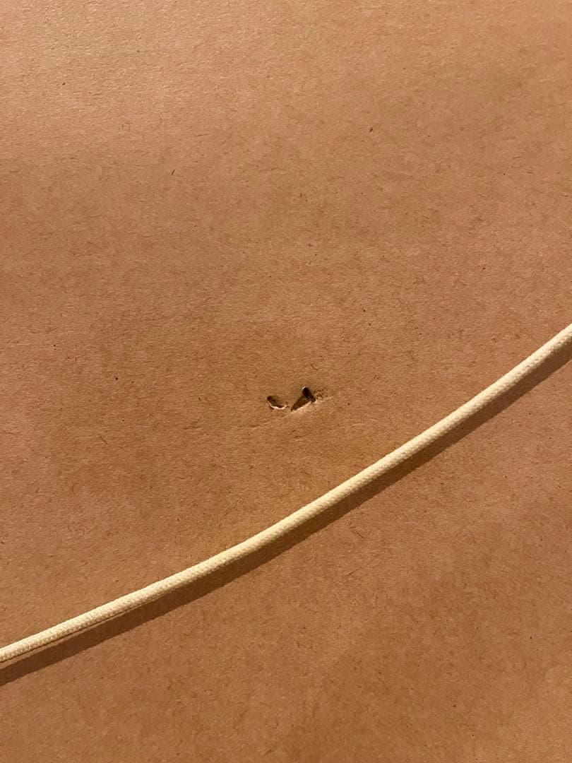 正真正銘本物 141/250】フランス アンドレ・ブラジリエ あけぼの