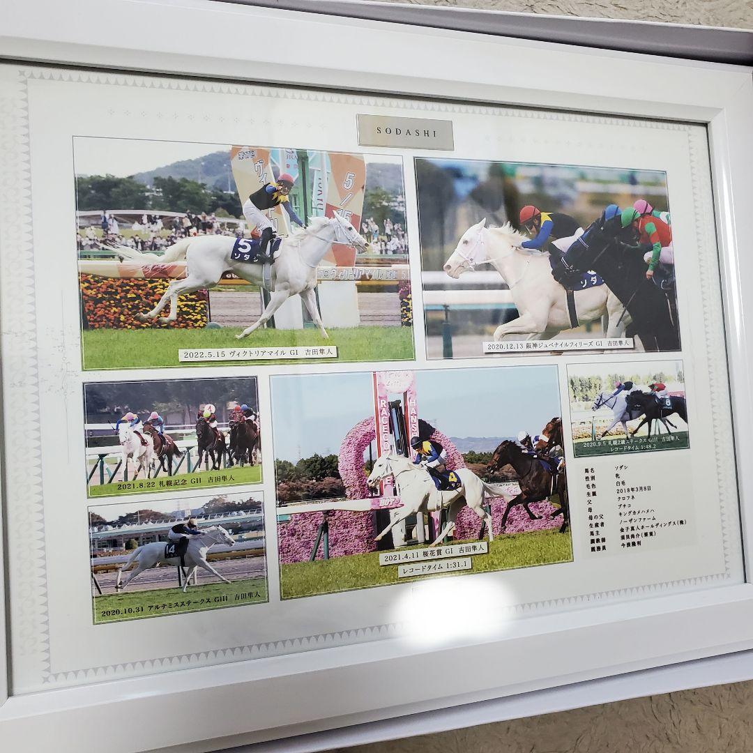 【100個限定】ソダシ 引退記念写真パネル シリアルナンバー入り 競馬 JRA
