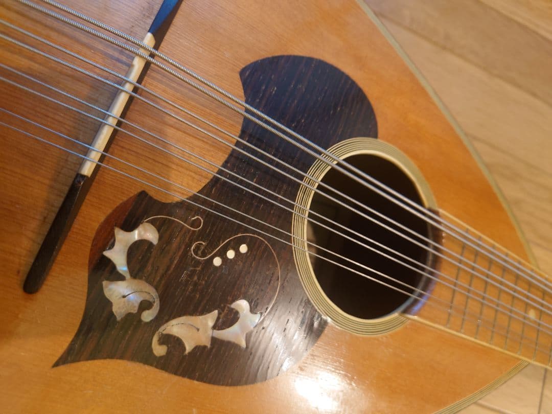 Suzuki マンドラ No.501 1963年製 - 弦楽器アウトレット 価格 通販