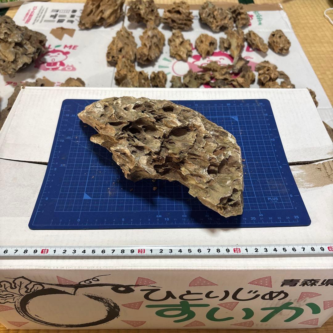 黄虎石まとめ売り