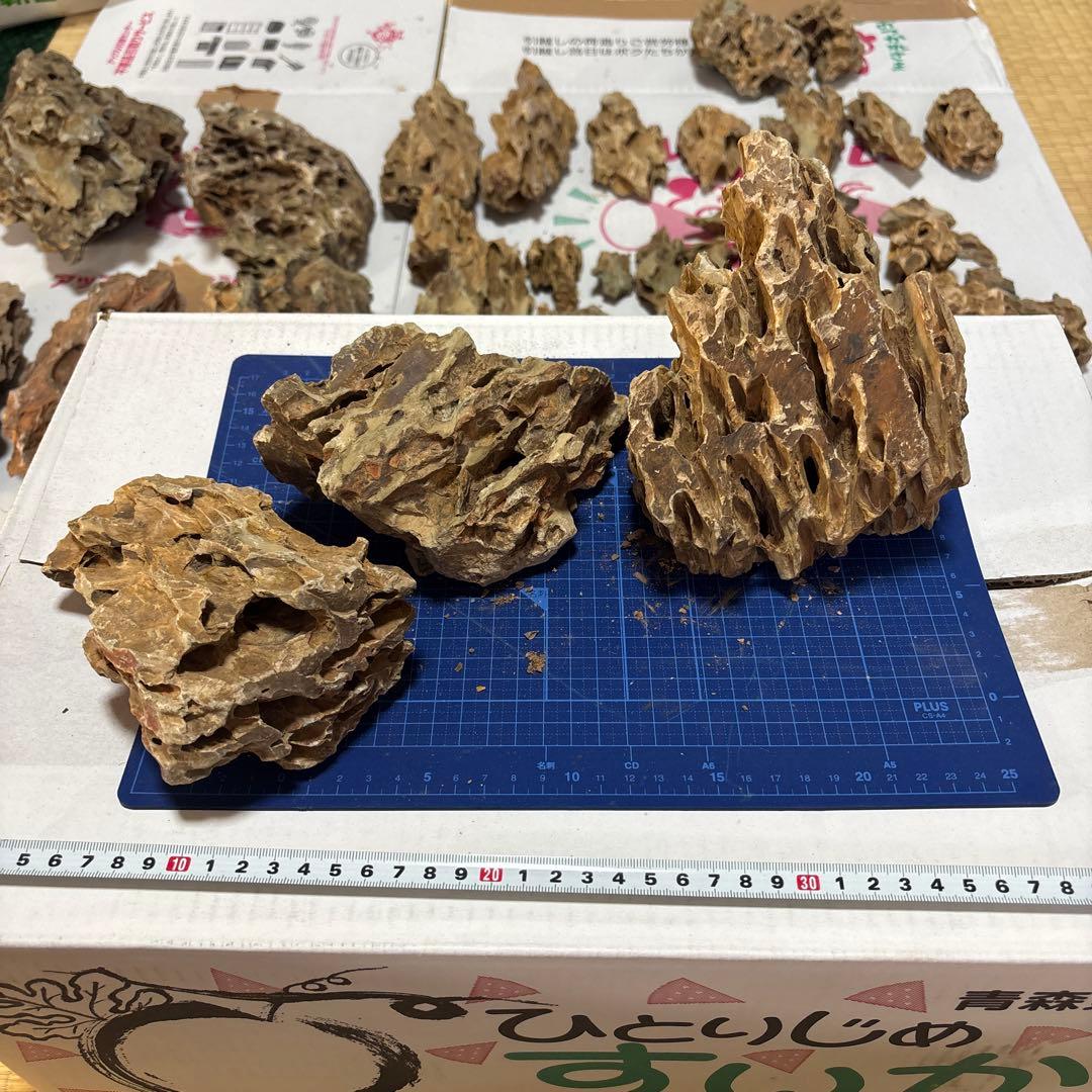 黄虎石まとめ売り