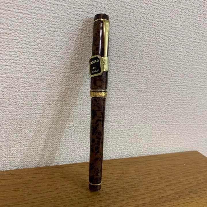 0100 オーバーホール済 レア 万年筆 パイロット PILOT 14k