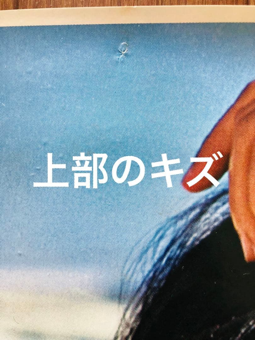 妖艶にして鮮烈！アグネス・ラムビキニポスター！ ハワイの妖精、女神
