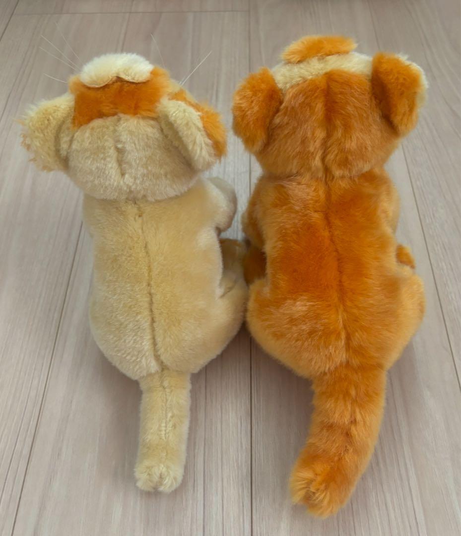 ⭐︎MISIA ハートのレオナ⭐︎