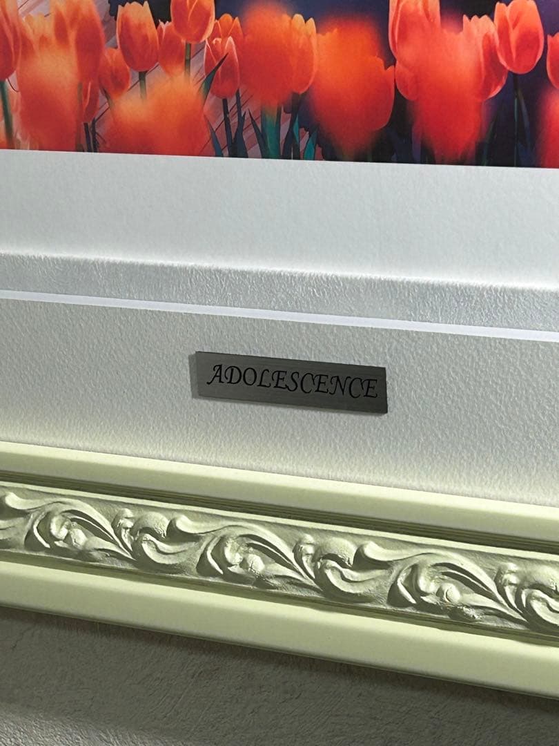 Hiten 版画 DX版 ADOLESCENCE アールビバン アールジュネス