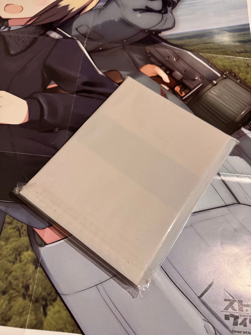 ストライクウィッチーズ 付録 坂本美緒両面枕カバー b2ポスター アニメ