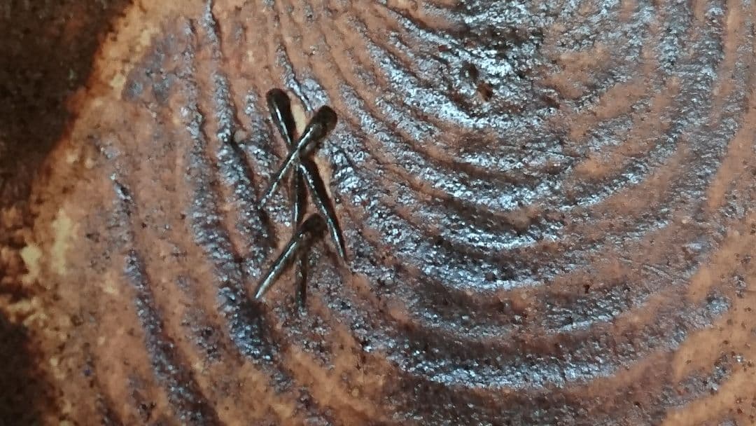 志野 織部 黄瀬戸 古美濃焼 花瓶 茶道具