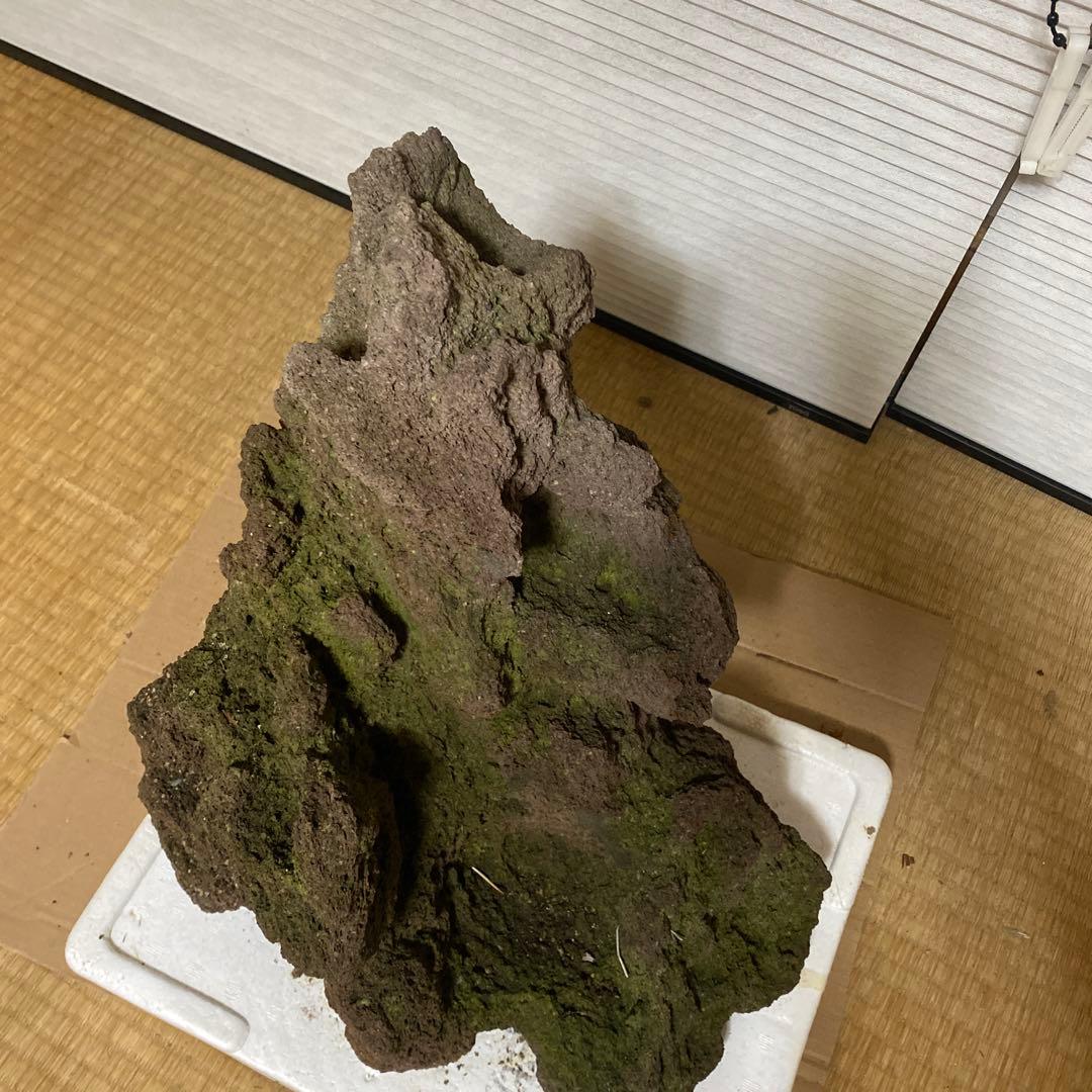 美形】軽石 岩石 水槽 装飾 アクアリウム NO4 美形】軽石 岩石 水槽