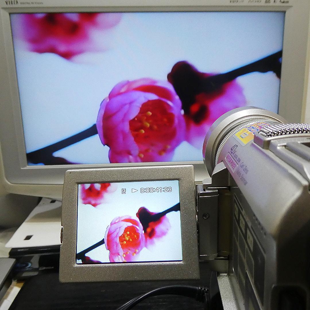 動作品 ソニーDCR-PC100 MiniDV ビデオカメラ DVDダビングに