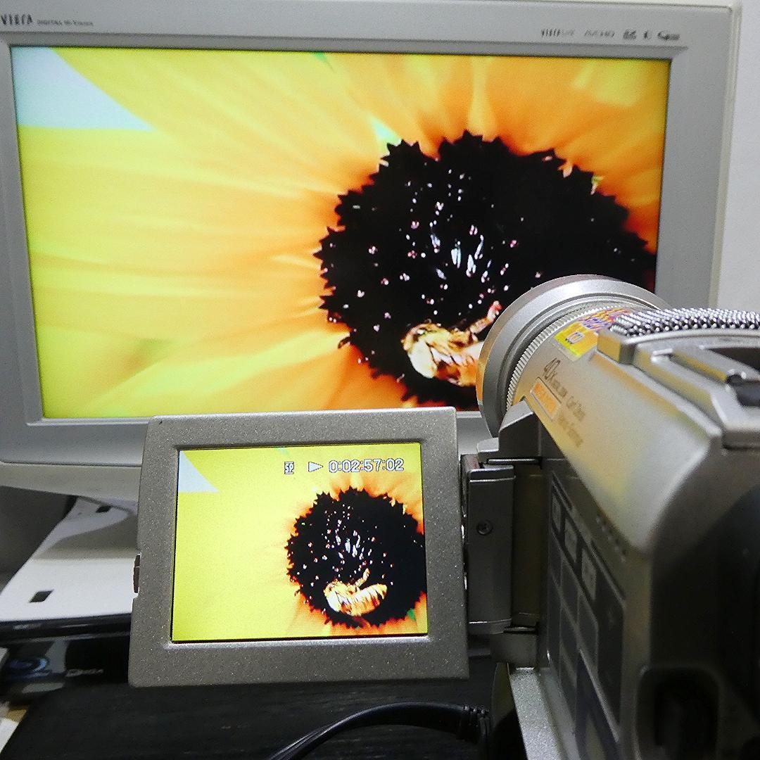 動作品 ソニーDCR-PC100 MiniDV ビデオカメラ DVDダビングに