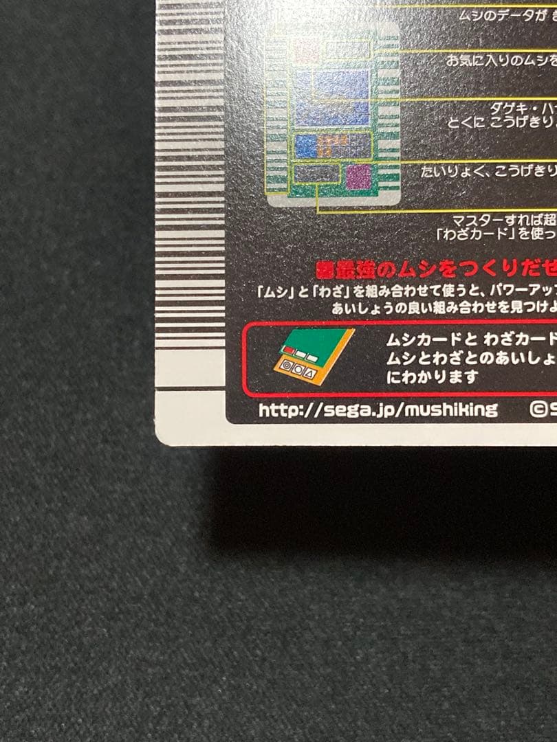 またこ ヘルクレスオオカブト2003 SPRING春 学名黒バーコードキラ