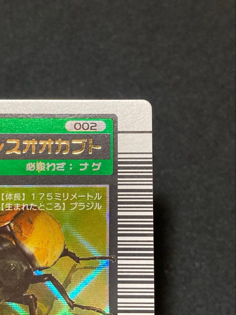 またこ ヘルクレスオオカブト2003 SPRING春 学名黒バーコードキラ