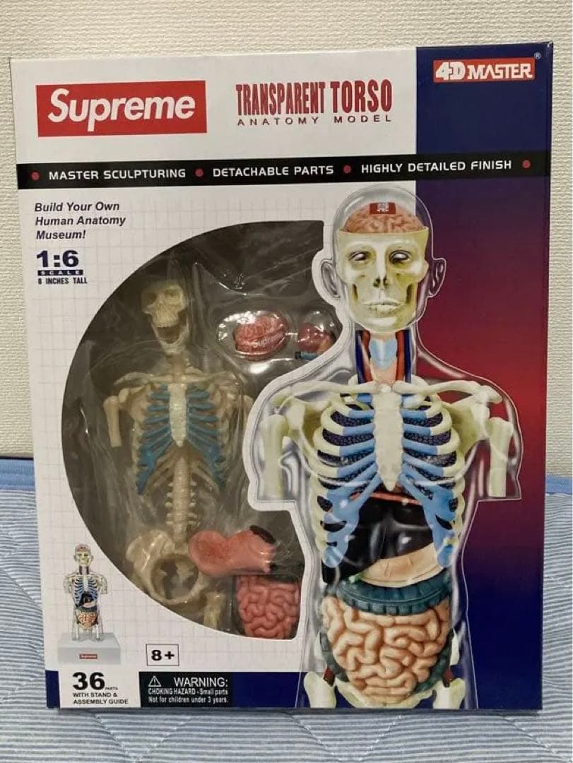 Supreme Male Anatomy Model 人体模型