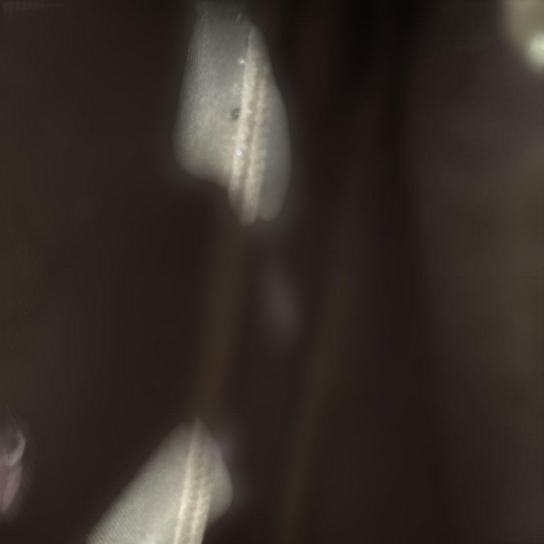 バッグ lady's bag loui vuilton