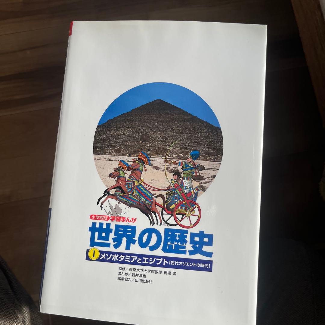 世界の歴史 全17巻セット - メルカリ