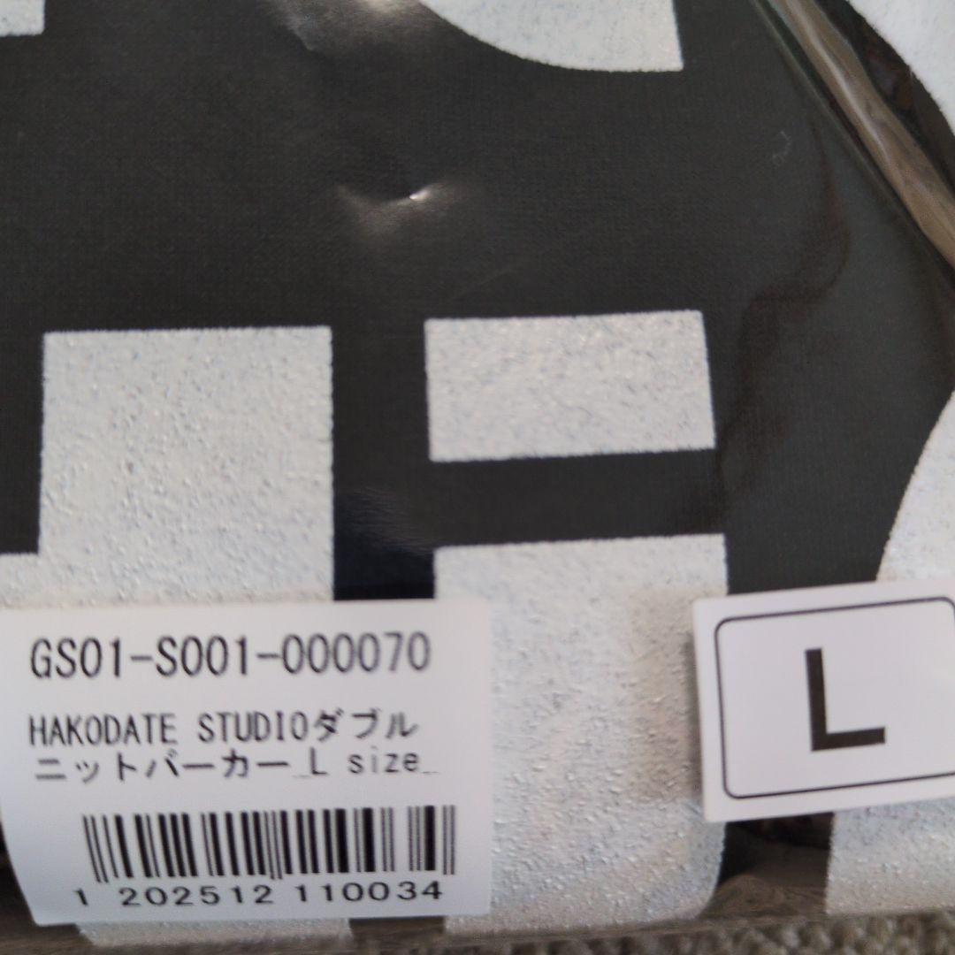 G4 Space TERU HAKODATE STUDIOダブルニットパーカー GLAY