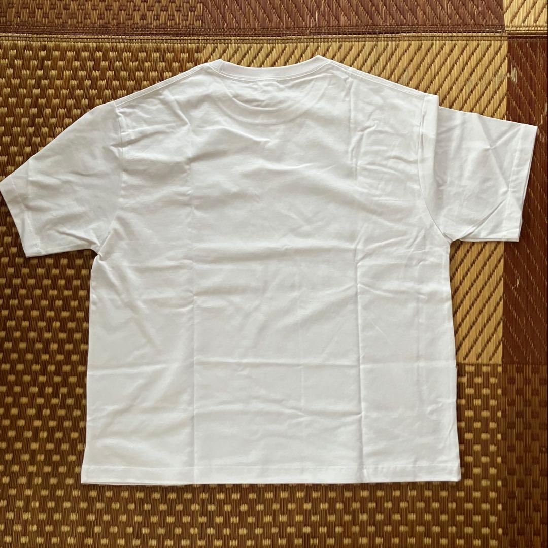 電気グルーヴ スチャダラパー TシャツSサイズ チャンピオンカーニバル