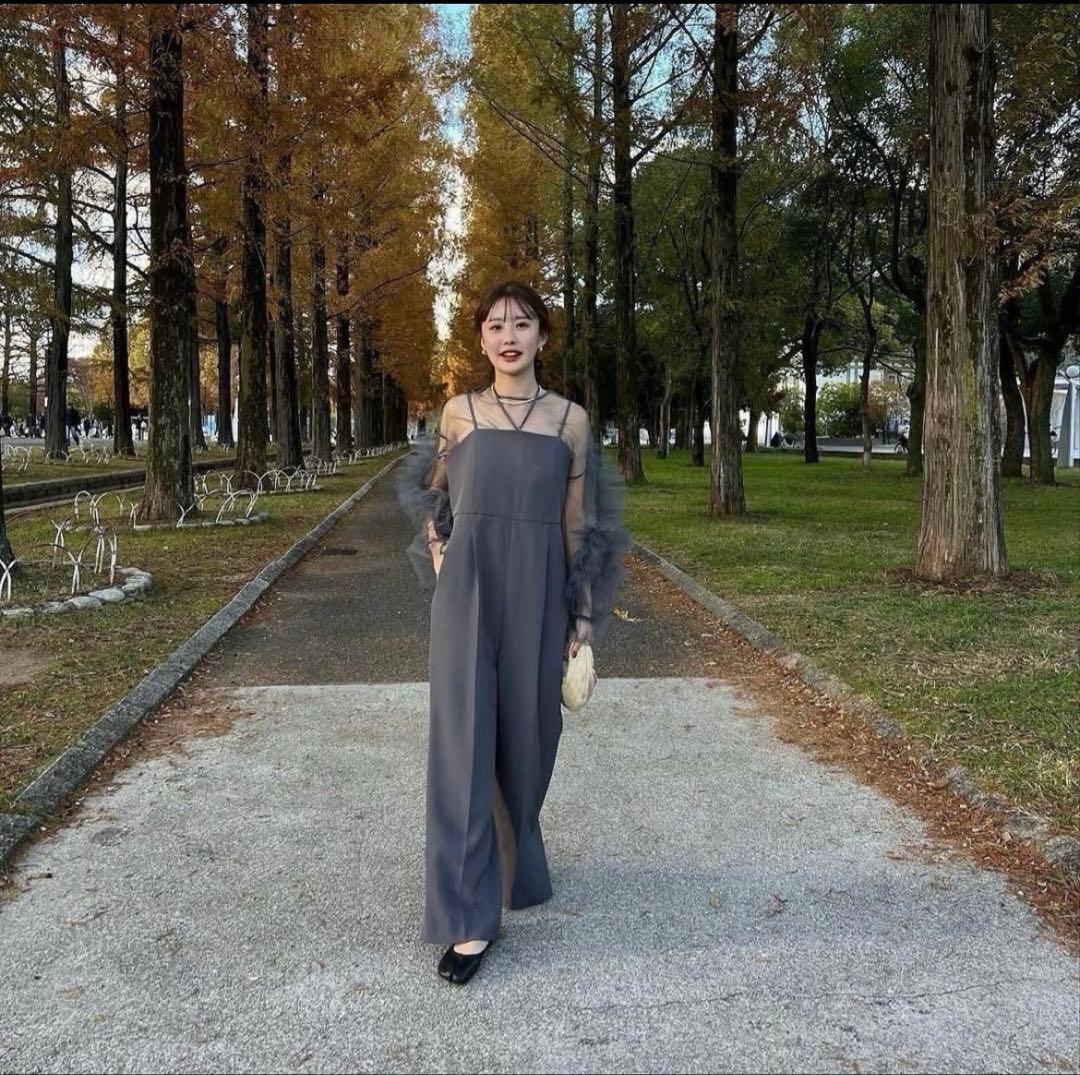 【オケージョン】【結婚式】【パーティ】シースルー チュール&オールインワンドレス