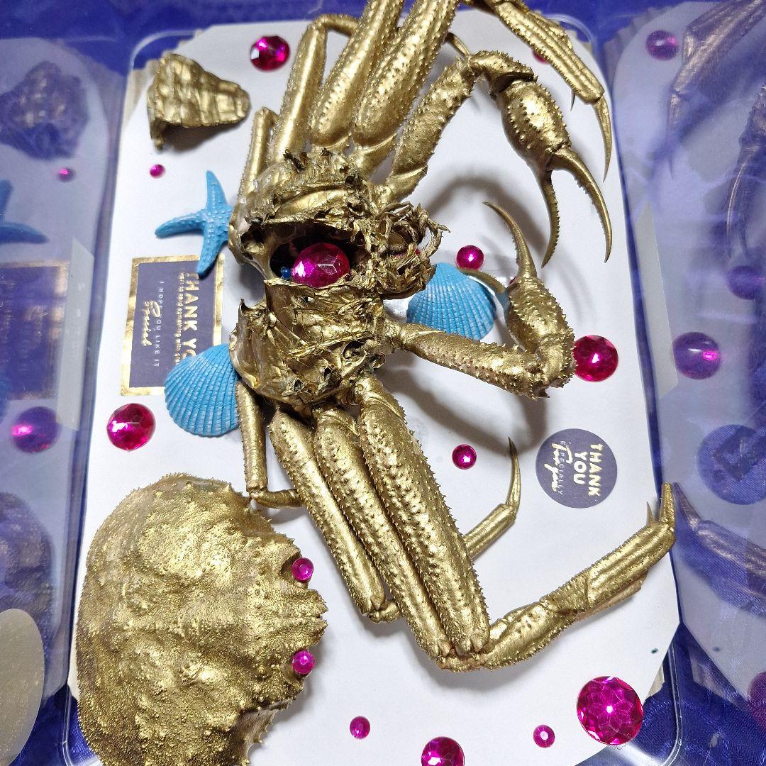 松葉蟹[セコガニ］ゴールドカラーオリジナル全長23センチ立体リアル