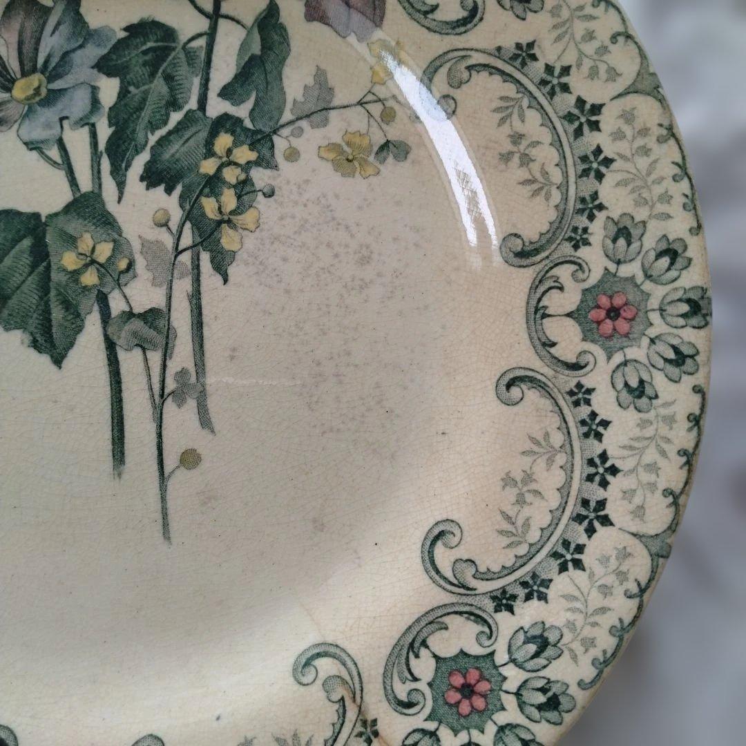 ライン他あり・ショワジールロワプレート・切り花/フランス