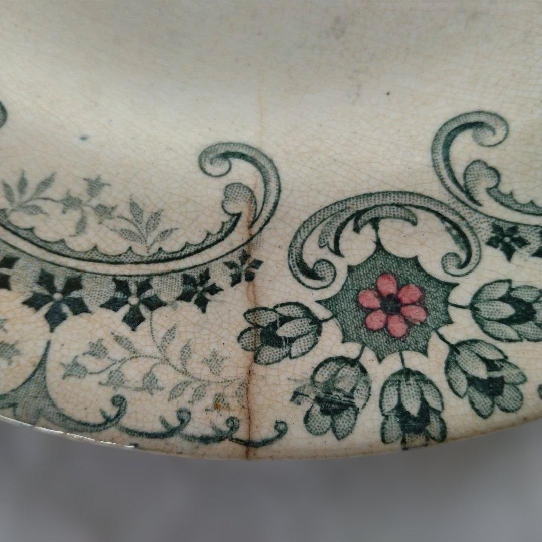 ライン他あり・ショワジールロワプレート・切り花/フランス