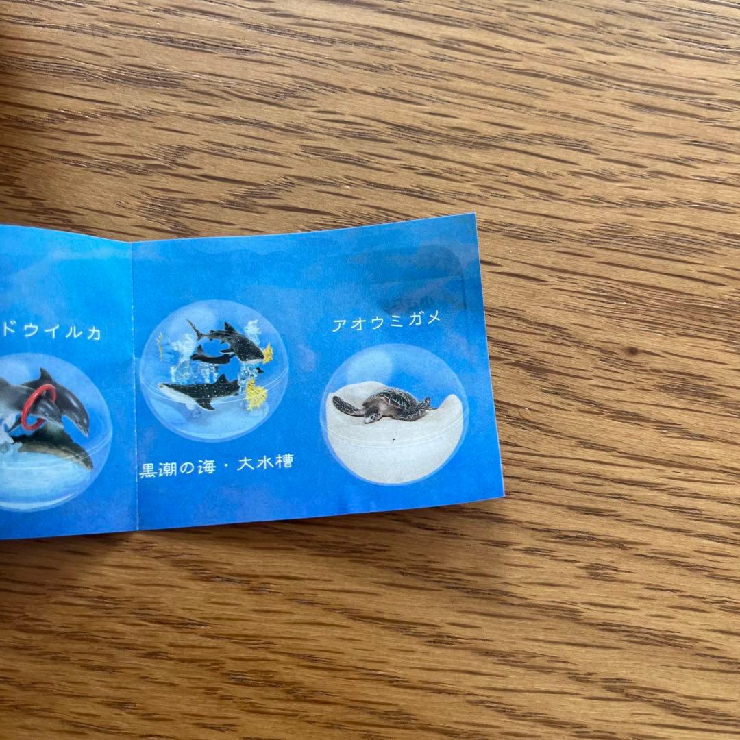 新品未開封】沖縄美ら海水族館 ガチャガチャ カプリウムコレクション