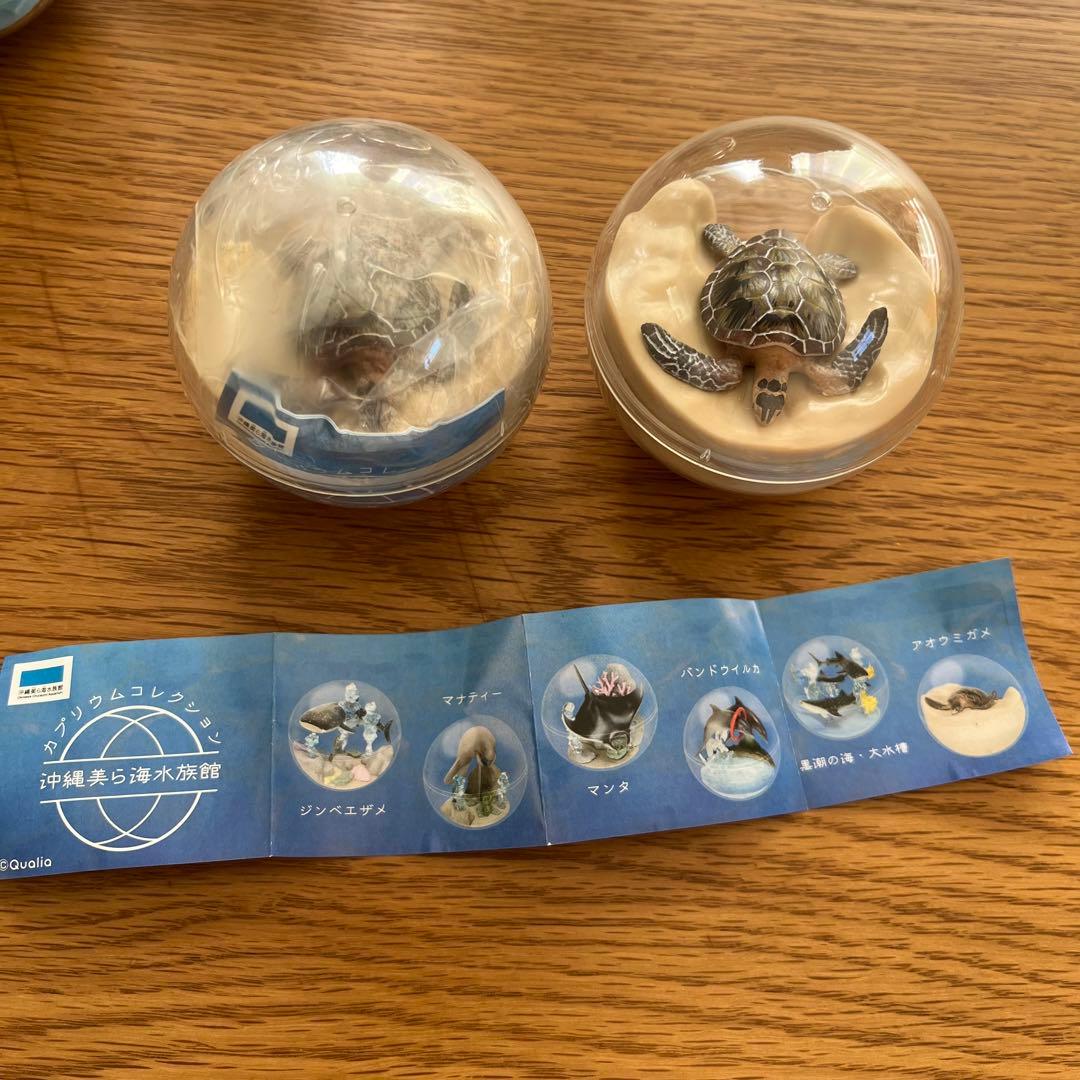 新品未開封】沖縄美ら海水族館 ガチャガチャ カプリウムコレクション